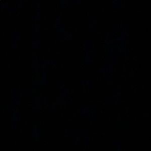 Meet your Posher, Zachary